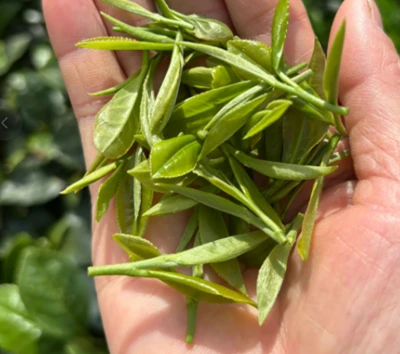 Smakskontrast: lett VS Strong Aroma te